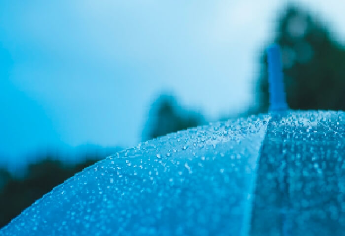 �����􂢗���