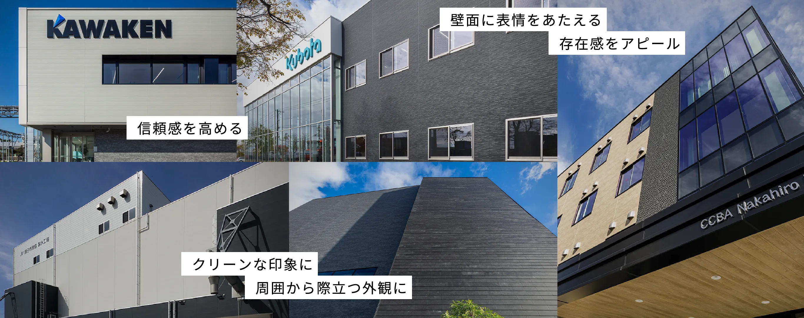 �{�H����u�H��E�q�ɁE�������v