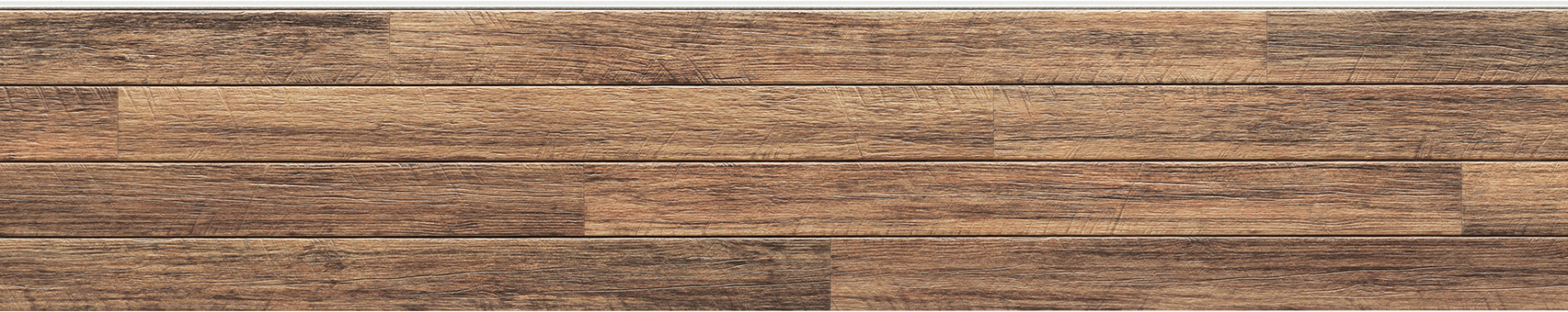 �u�����E�b�hFT