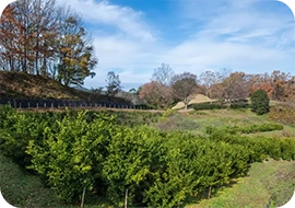 �����ˌÕ��t�߂̋x�k�n���p