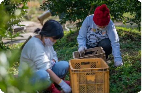 �Ⴊ���Ҍٗp