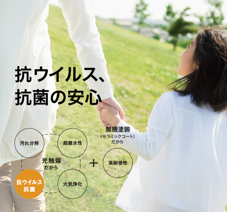 �R�E�C���X�A�R�ۂ̈��S