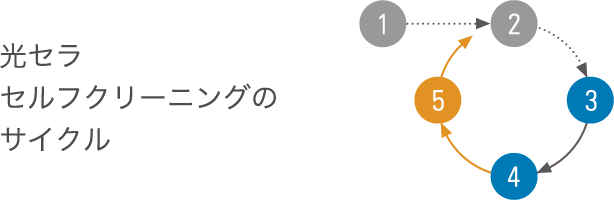 �摜�F���Z�� �Z���t�N���[�j���O�̃T�C�N��