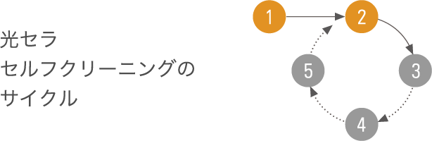 �摜�F���Z�� �Z���t�N���[�j���O�̃T�C�N��