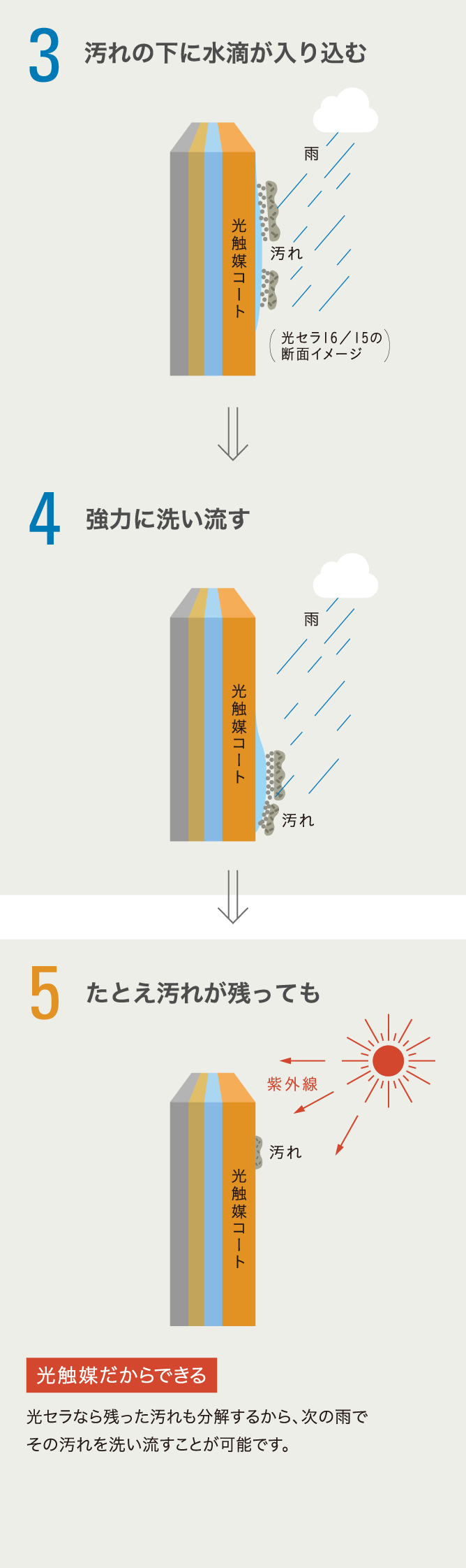 �摜�F���Z�� �Z���t�N���[�j���O�̃T�C�N���̃X�e�b�v