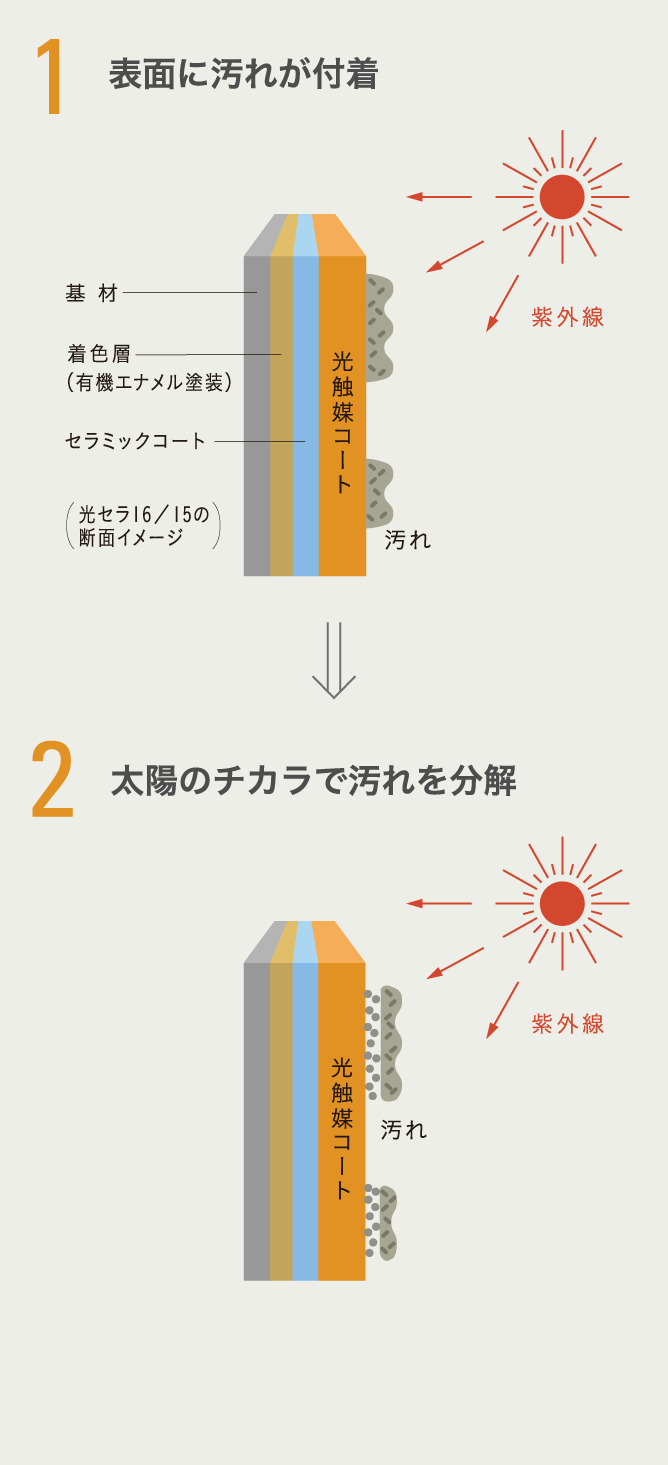 �摜�F���Z�� �Z���t�N���[�j���O�̃T�C�N���̃X�e�b�v