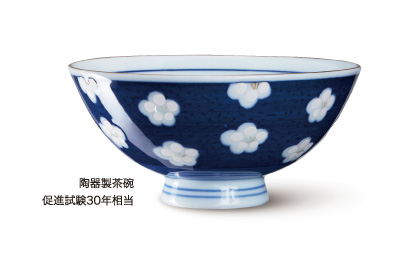 �摜�F���퐻���q���i����30�N����