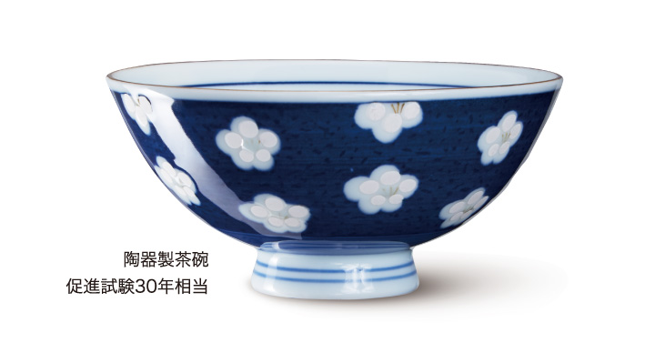 �摜�F���퐻���q���i����30�N����