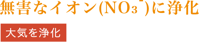 ���Q�ȃC�I��(NO3-)�ɏ�