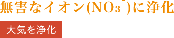 ���Q�ȃC�I��(NO3-)�ɏ�