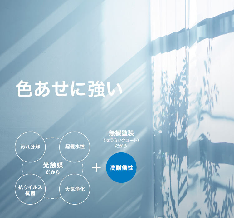 �F�����ɋ���