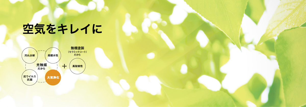 ��C���L���C��