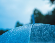 �����􂢗���