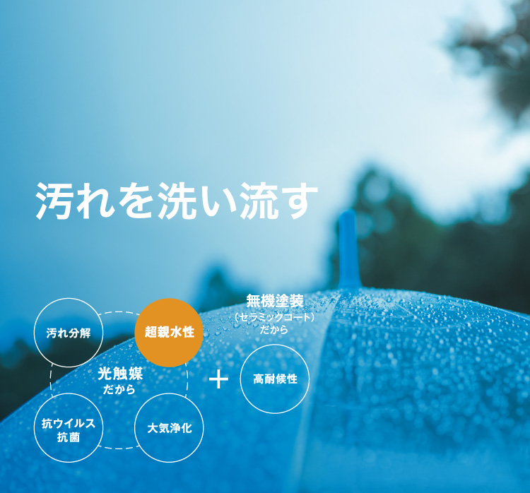 �����􂢗���