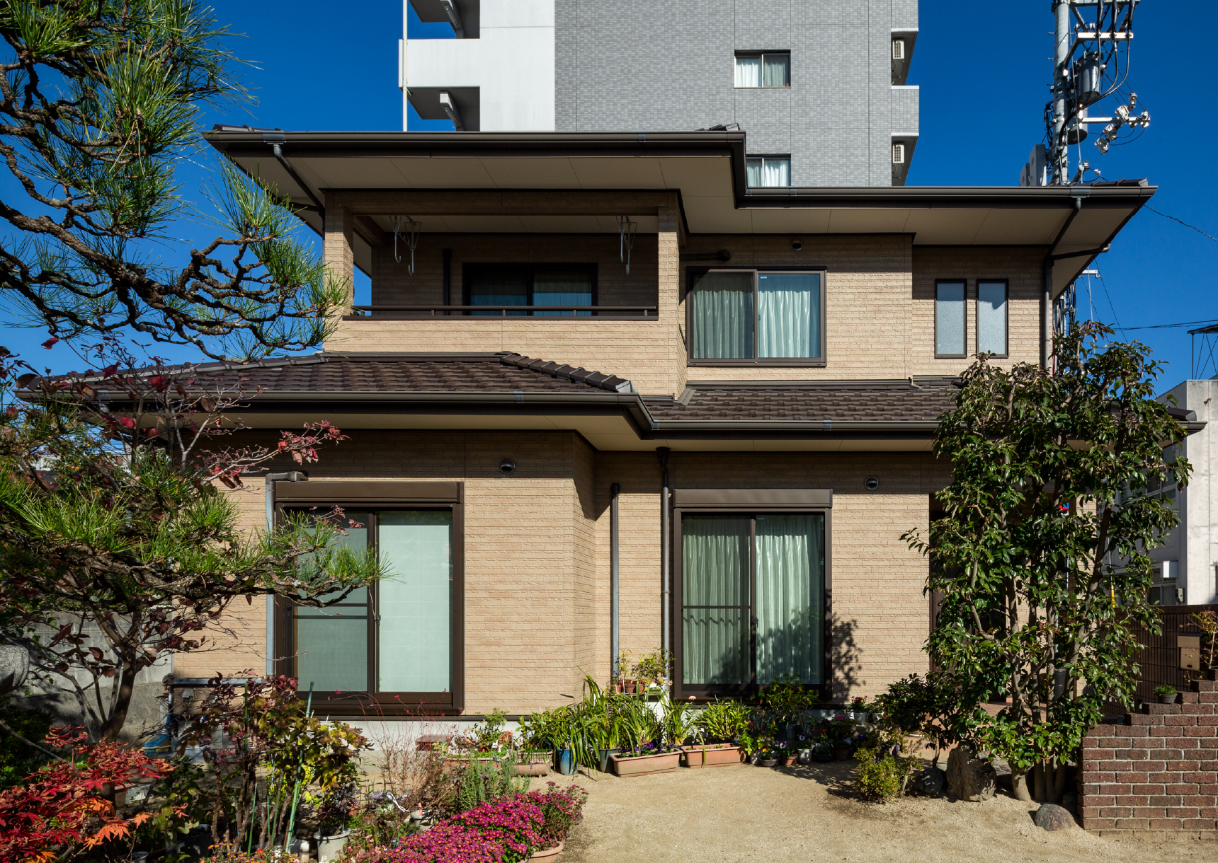 ��11�N�o�߁i2020�N�B�e�j