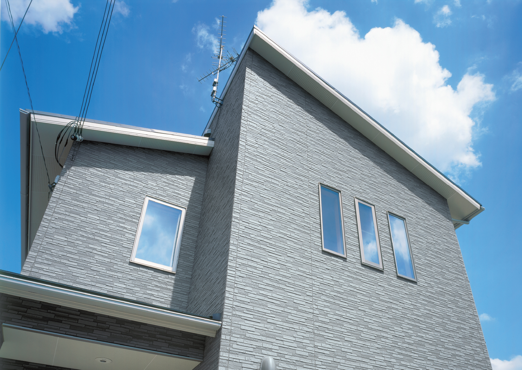 �V�z���i2005�N�B�e�j