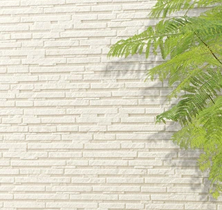 �F�������ɂ���